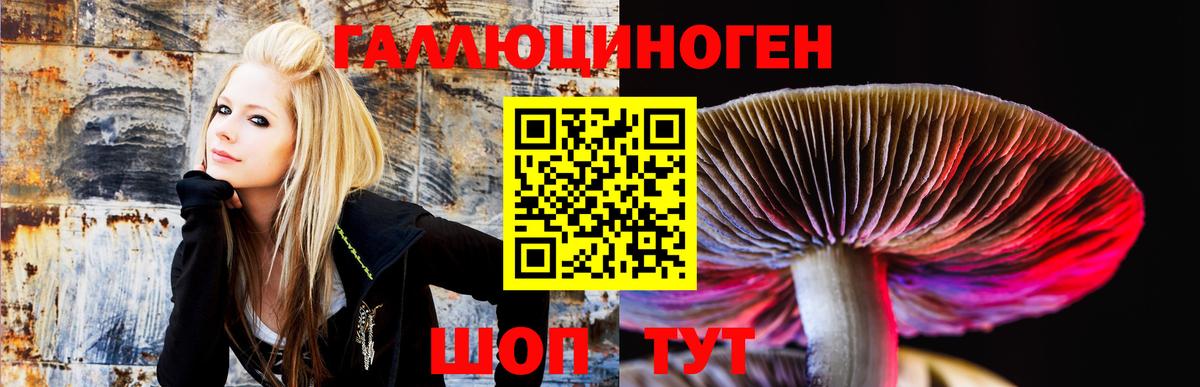 Псилоцибиновые грибы Cubensis  Галлюциногенные грибы Cubensis  хочу   Вход с VPN  Салехард 